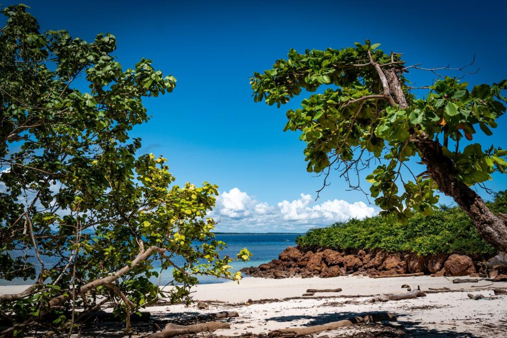 Isla Iguana