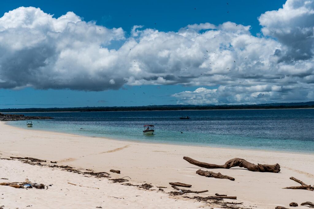 Isla Iguana